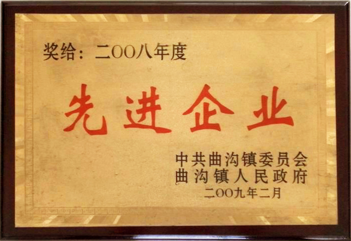 2008年度先進企業